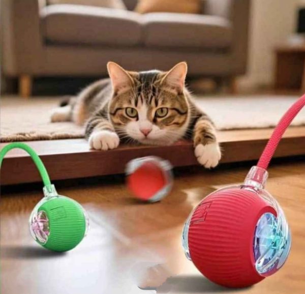 pelotitas gatito Pelota interactiva para mascotas