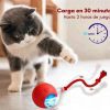 pelotitas gatito 3 Pelota interactiva para mascotas