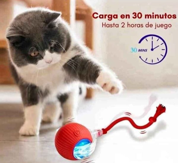 pelotitas gatito 3 Pelota interactiva para mascotas